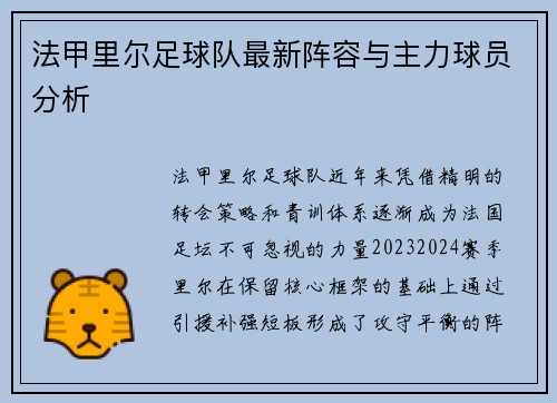 法甲里尔足球队最新阵容与主力球员分析
