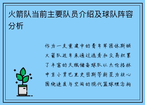 火箭队当前主要队员介绍及球队阵容分析